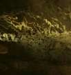 Barbarossahöhle Rottleben