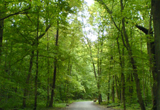 Eichsfeld