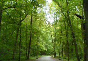 Eichsfeld Eichsfeld