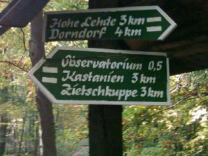 Wegweiser im Tautenburger Wald