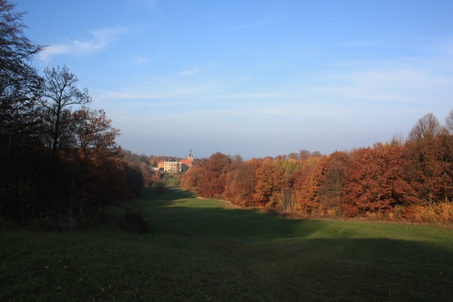 Schloss und Park Ettersburg