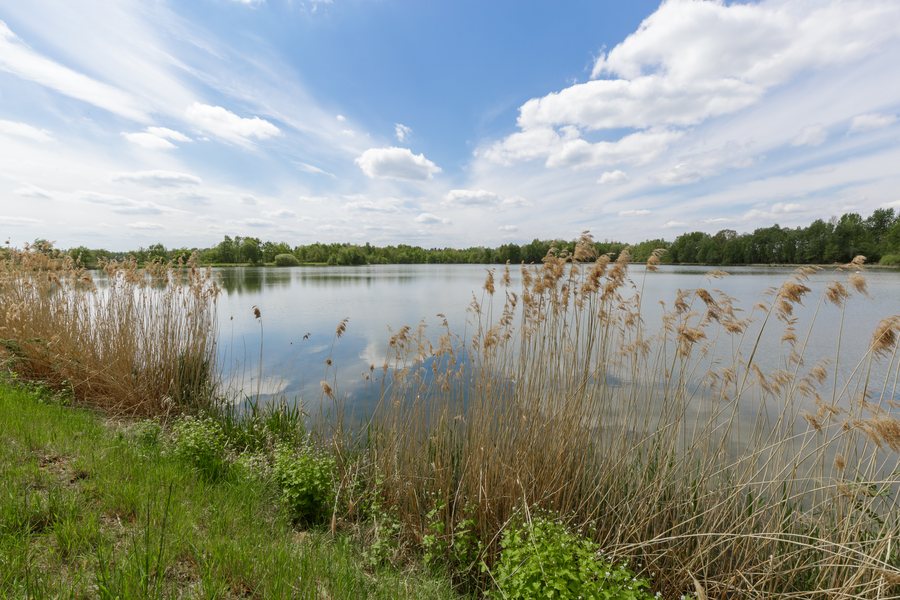 File:Am Gocheteich der Plothener Seenplatte 01.jpg