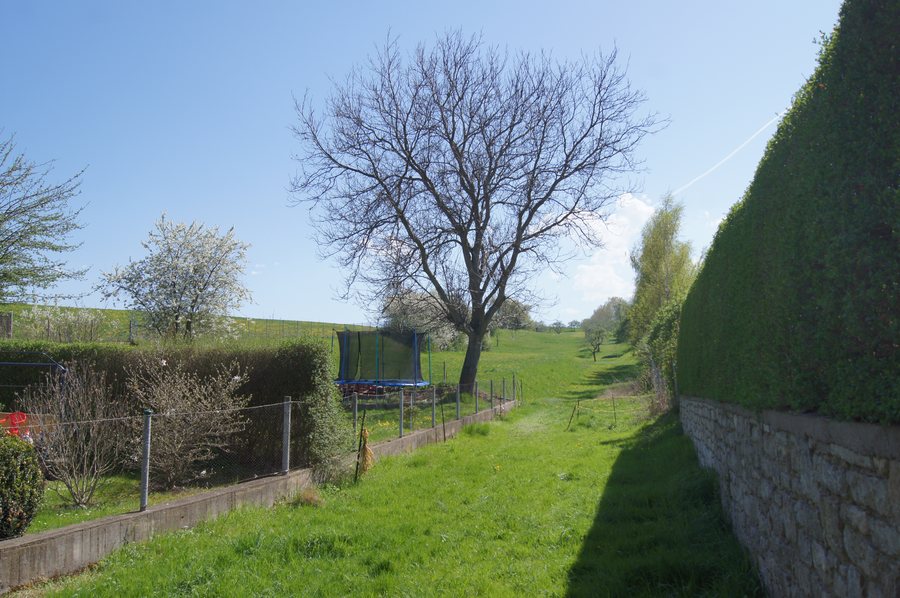 File:Auerstedt 2012-04-28 01.jpg