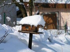 Skiurlaub in Thüringen, Schnee und Freude