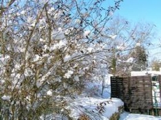 Breitenbach im Thüringer Wald