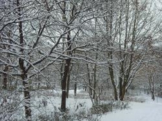 Skigebiet Oberhof am Rennsteig