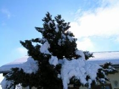 Skigebiet Neuhaus am Rennweg