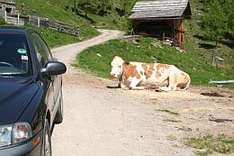 Urlaub im Ferienhaus in Thüringen