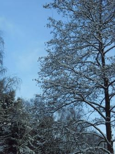 Winterurlaub in Schmalkalden, Thüringen